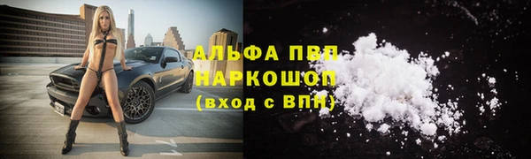 бошки Богданович