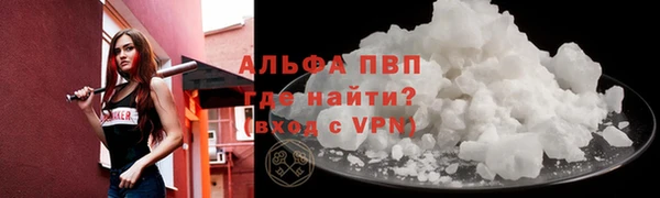 бошки Богданович