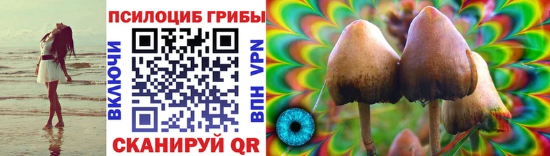 Псилоцибиновые грибы мицелий Менделеевск